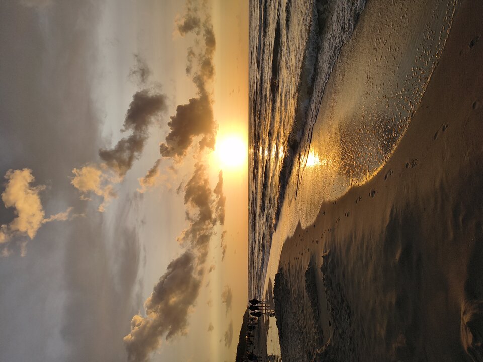 1000003159.jpg - Kocchanekarek