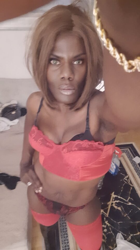 Snapchat-746626217.jpg - OniJegoTrans