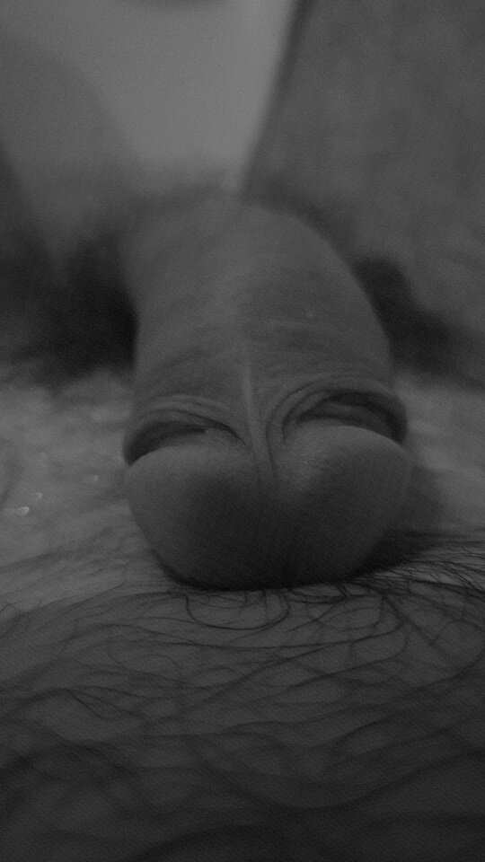 1000025141.jpg - Perdi9