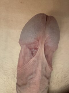 IMG_2081.jpeg