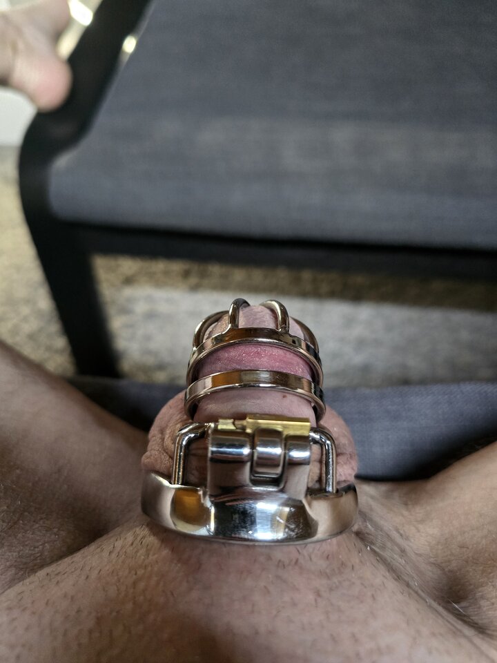 20240815_100237.jpg - BiCouple7168