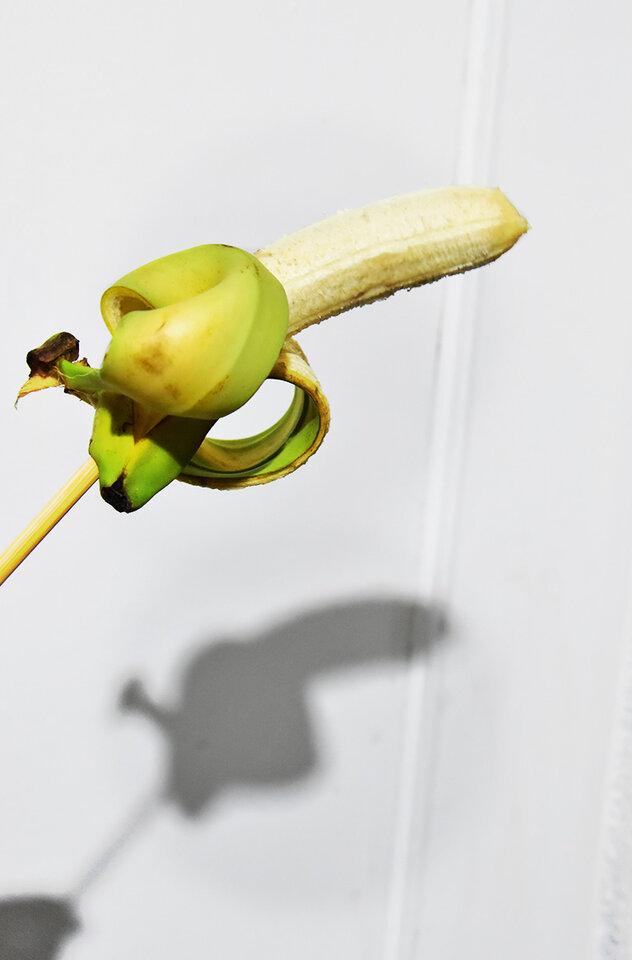 bananh.jpg - SpragnionaZycia