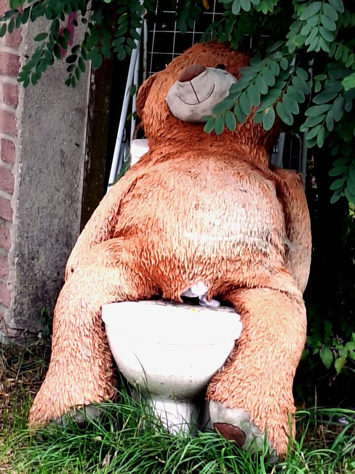 1000028748.jpg - Argument73