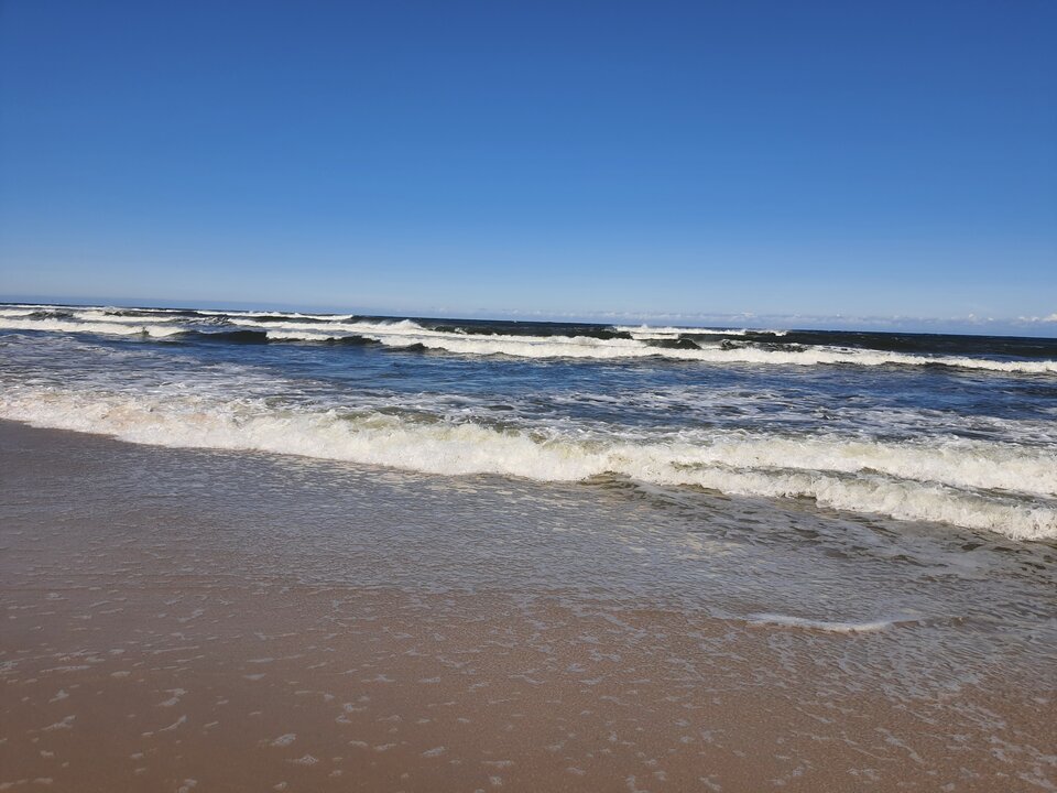 20240729_162933.jpg - Joss085