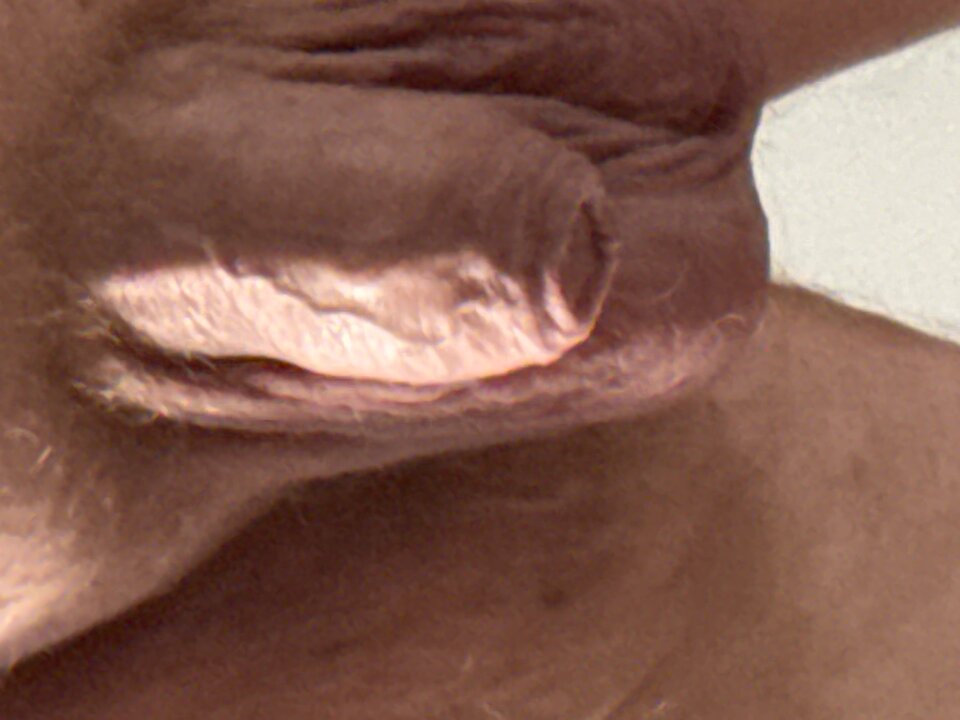 image.jpg - gregorian1971