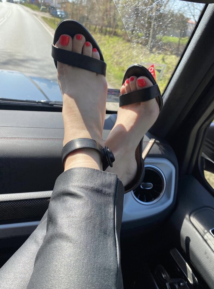 47397865-6fd3-4660-9de2-745f5834c7e1.jpeg - Car_and_Caryca