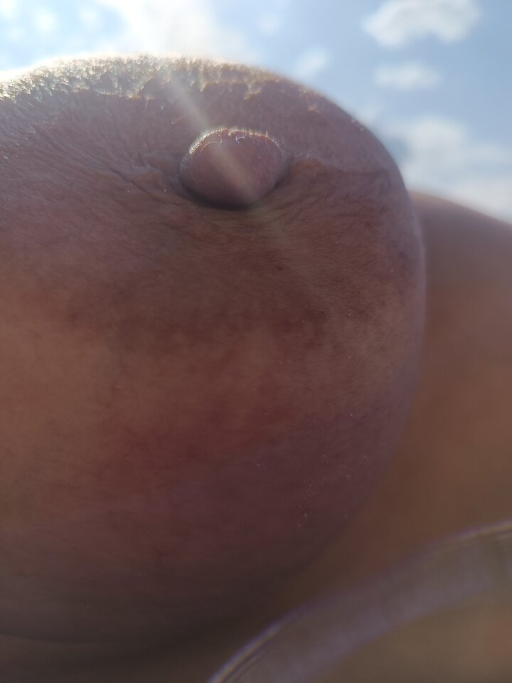 IMG_20250808_160206.jpg - ostraparka84841