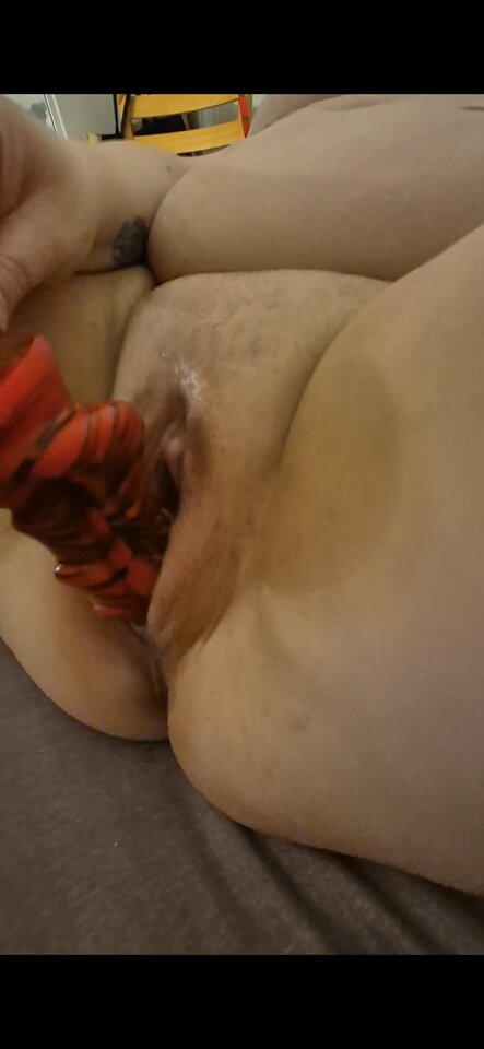 1000048229.jpg - Mhbr