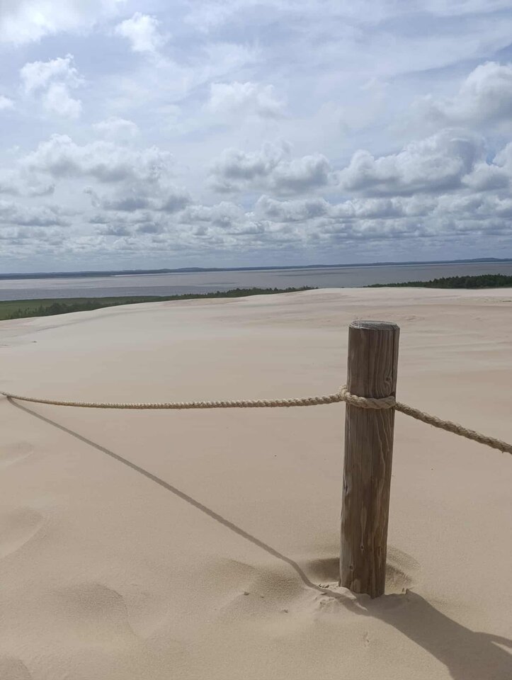 received_1417031376287399.jpeg - Paula_trans