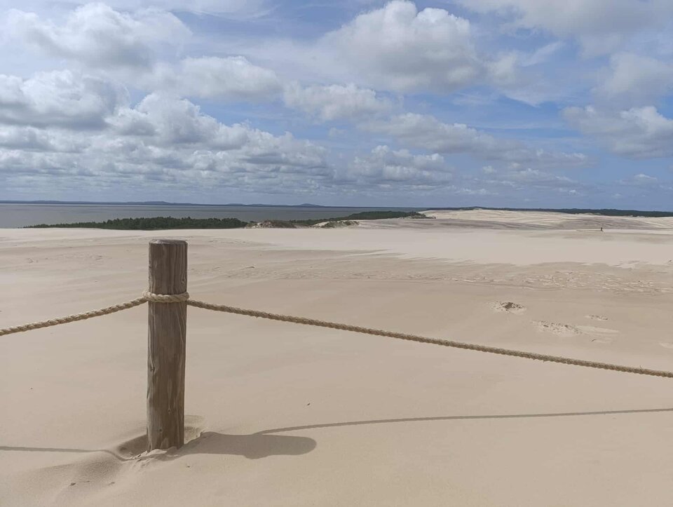 received_1490886975238626.jpeg - Paula_trans