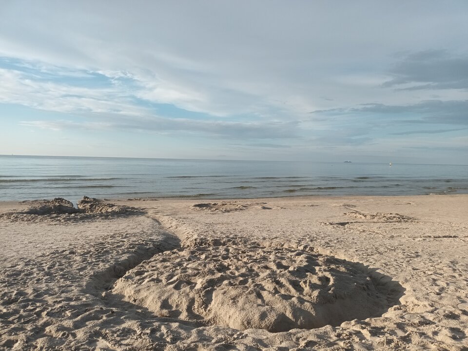 20250802_191652.jpg - Paula_trans