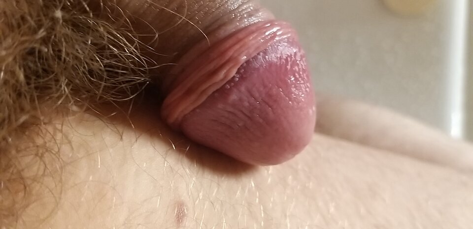 20250809_045945.jpg - bimis1982