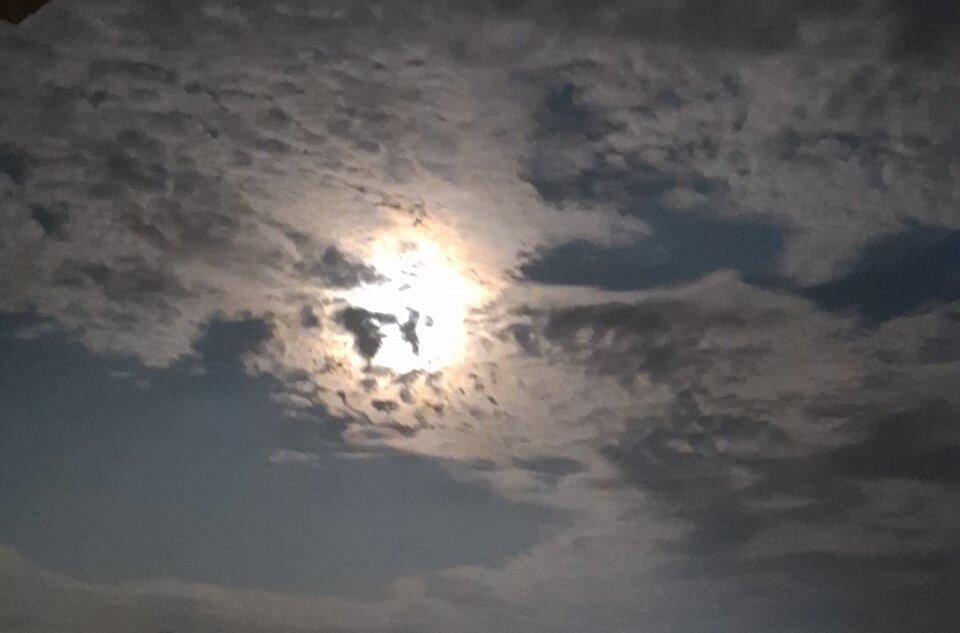 1000001422.jpg - M88K82