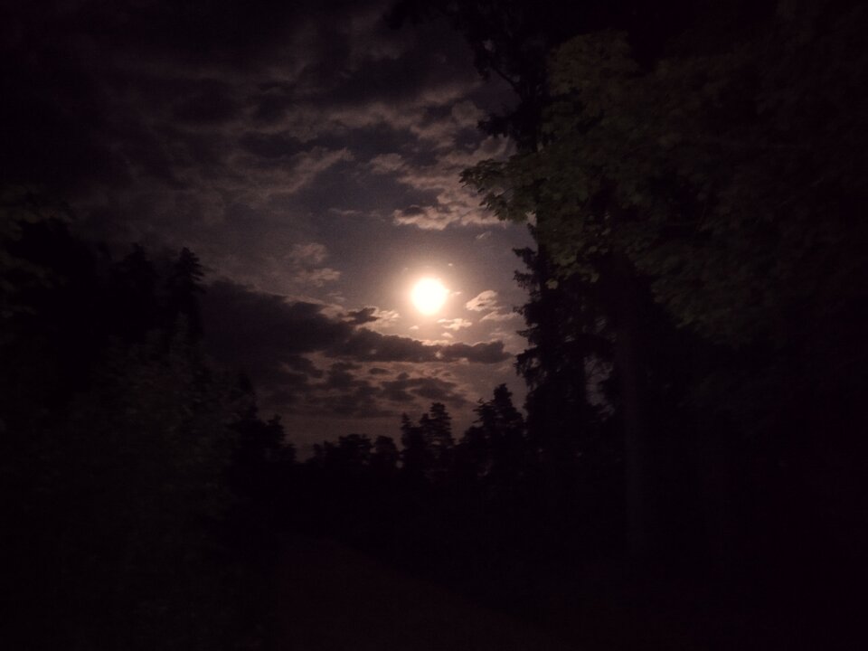 IMG_20250810_001746.jpg - Gimlii73