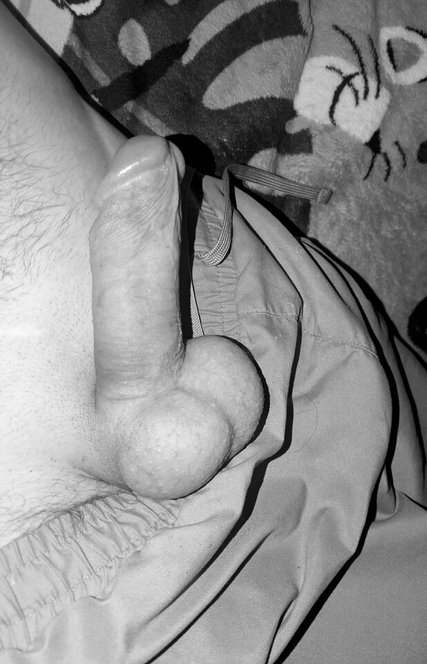 1000007542.jpg - maledanio87