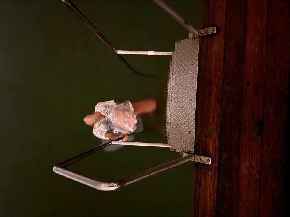 IMG_0466.jpeg - selvaggi