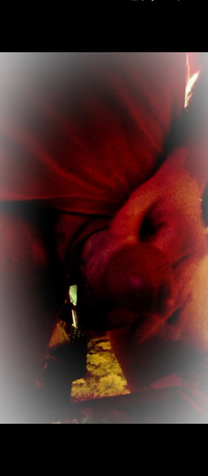 1000004868.jpg - Hjk18