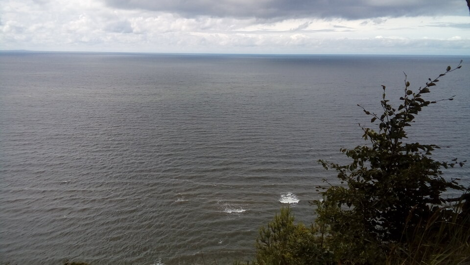 20250722_151151.jpg - jak2109