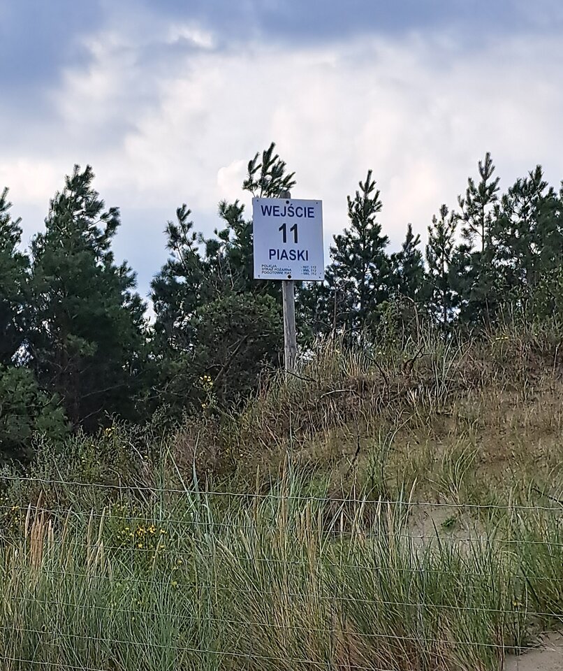 1000022618.jpg - Shonq4