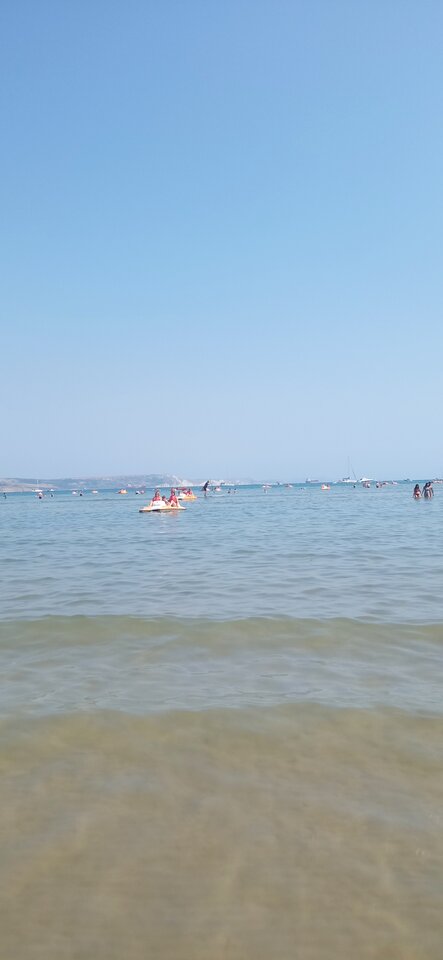 IMG_20250810_134307.jpg - wolna54