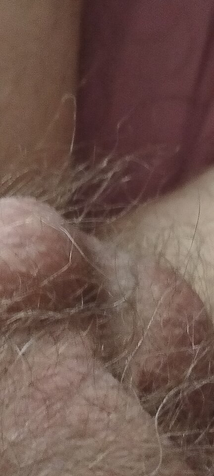 1000002933.jpg - XMiko77