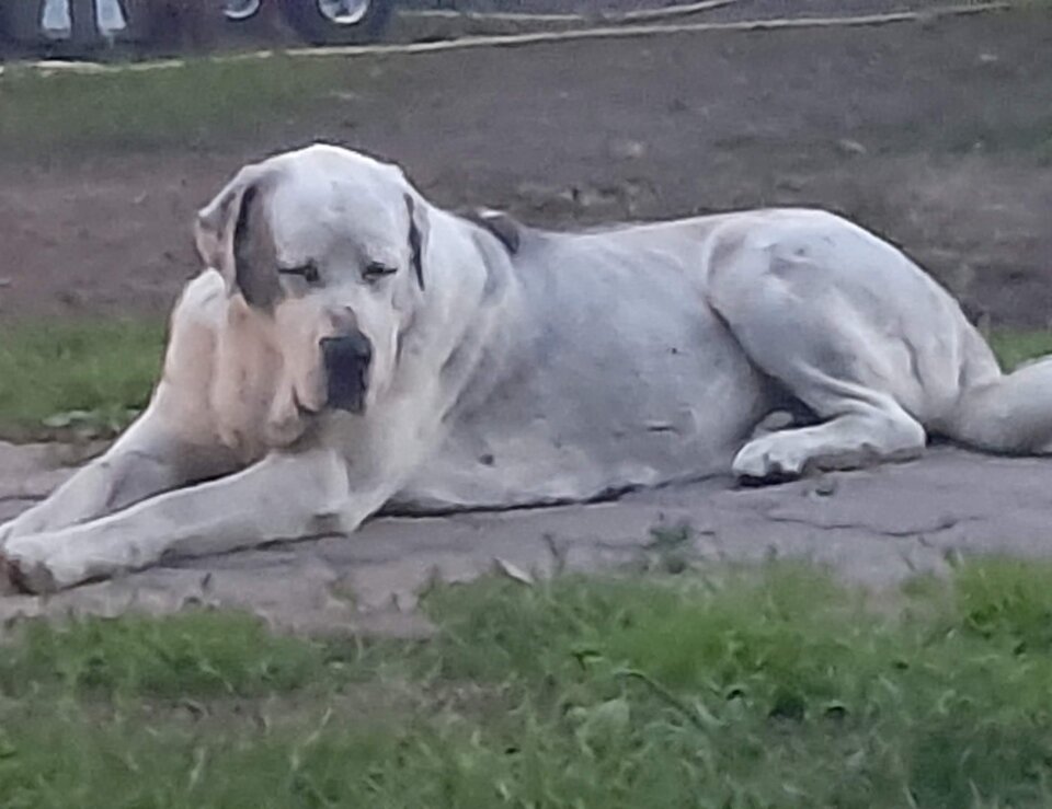 40be7a25-034a-4590-88e0-e1dfe030e719-1_all_801.jpg - Andy0707