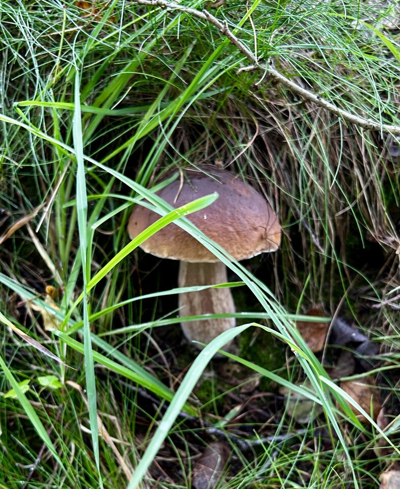 IMG_8187.jpeg - NaturystaXXX