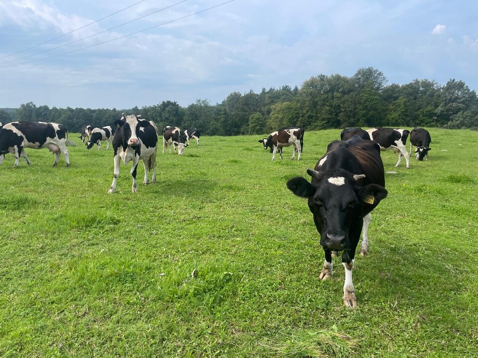 0661edbc-48f8-4a48-8bd7-d92ea587d750.jpeg - WatahaWawa2