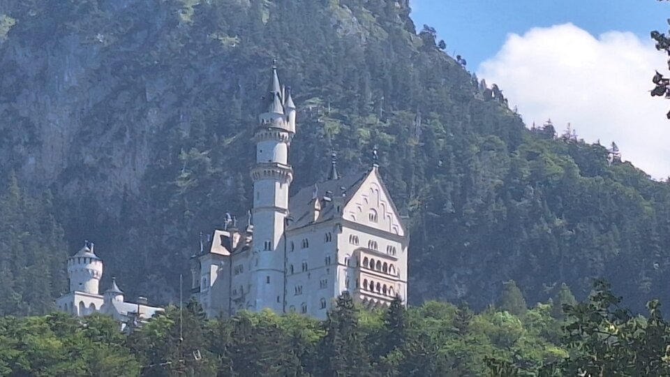 IMG-20250810-WA0006.jpg - Piotrtor1