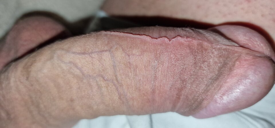 17548814347607577450986325953895.jpg - robin266