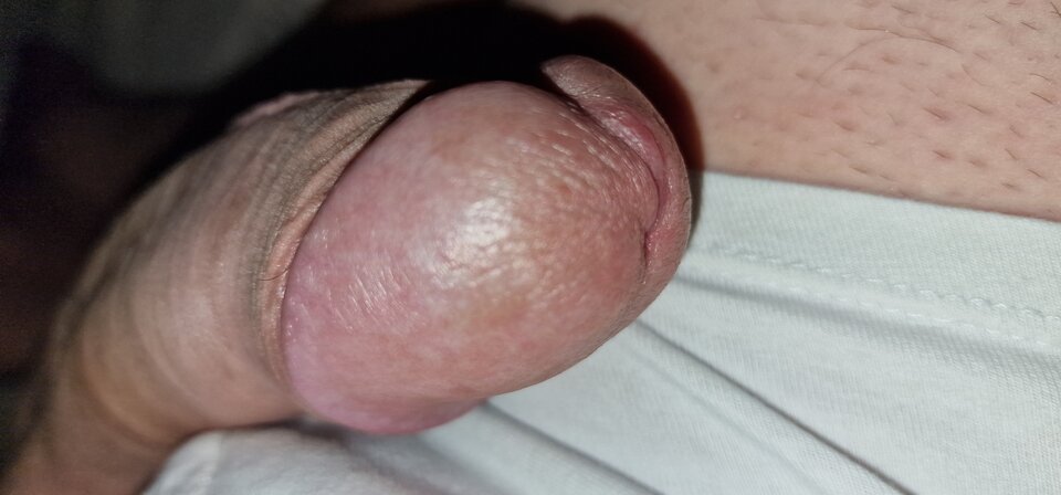 17548816485773628451066164196577.jpg - robin266