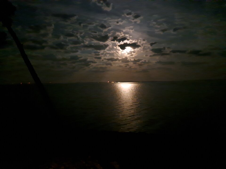 1000022588.jpg - Shonq4