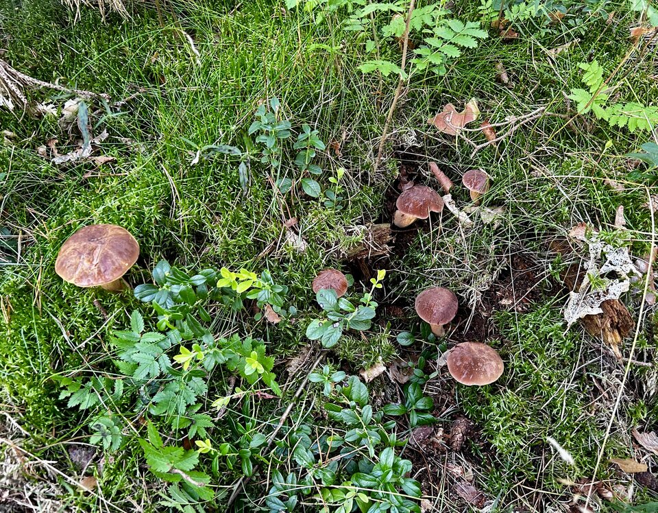 IMG_8204.jpeg - NaturystaXXX