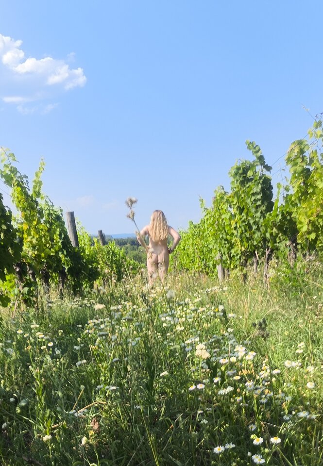 1000005323.jpg - ParaNiemoralni14