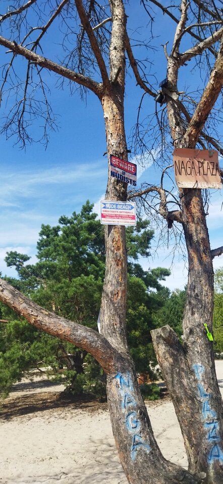 1000053941.jpg - nudist_friends75_76