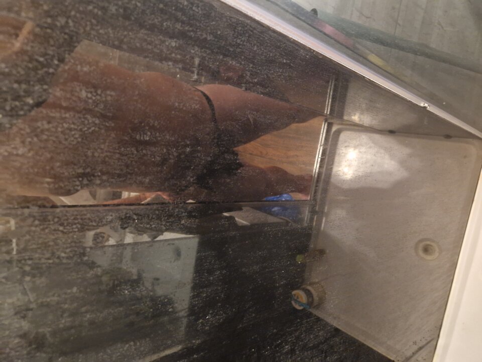 1332.jpg - Zawszeaktywni