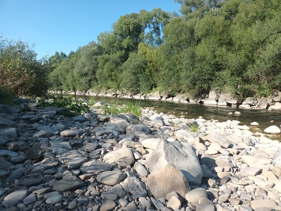 20250811_165311.jpg - Paula_trans