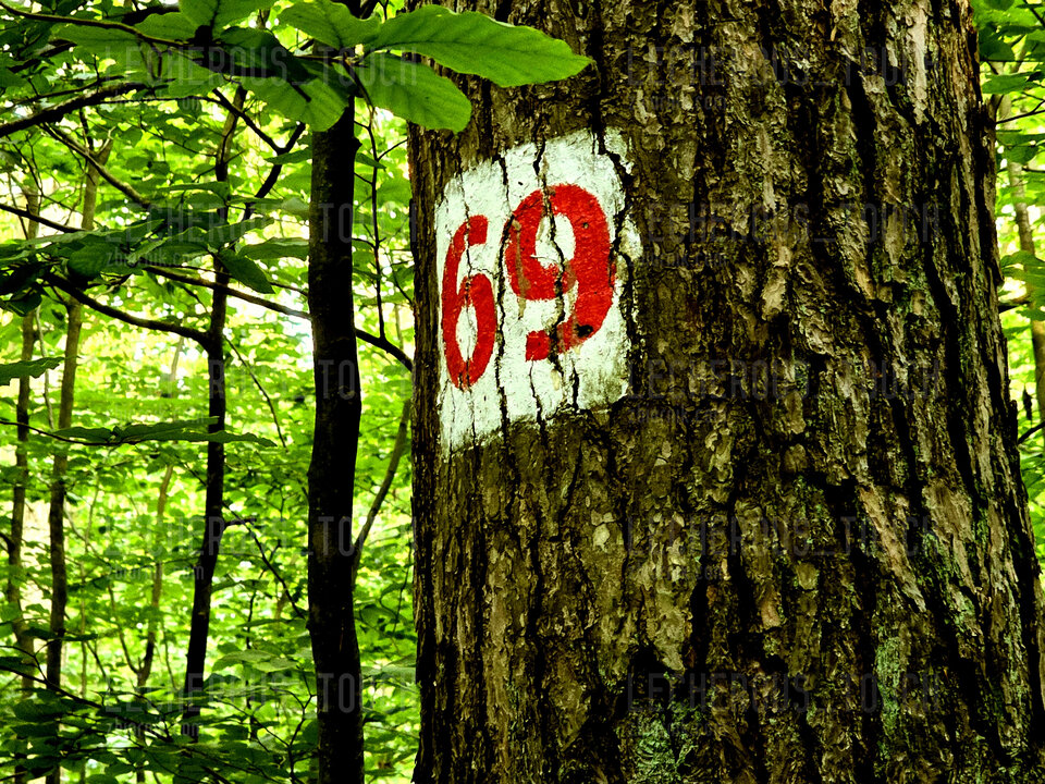 1000009564.jpg - lecherous_touch