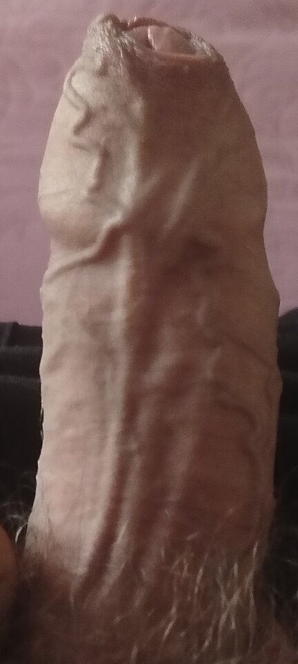 1000002941.jpg - XMiko77