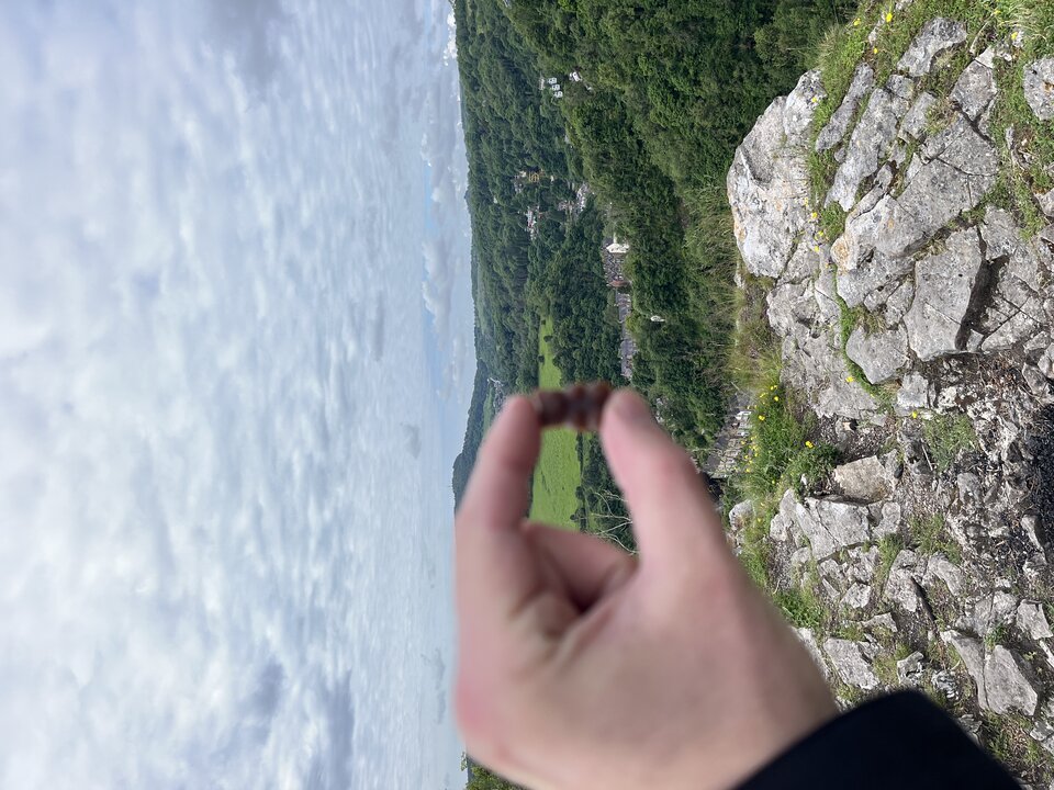 IMG_0276.jpeg - Forgers