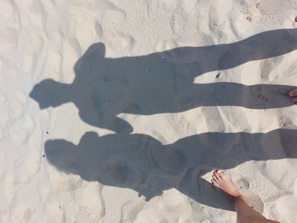 20230729_145404.jpg - rafalhej