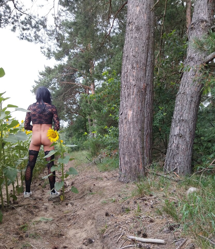 IMG_20250812_050354.jpg - YOtwartyy