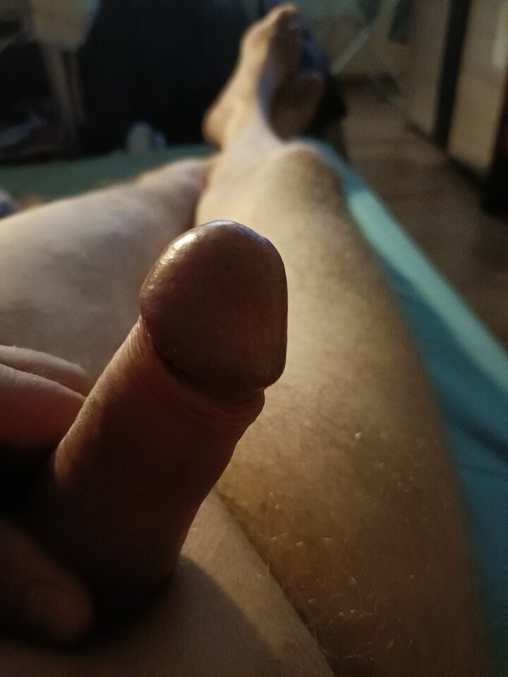 17549715360386491320027101158191.jpg - ardas1