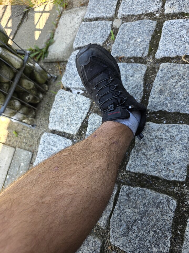 1000011442.jpg - toxict