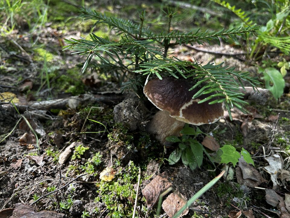 IMG_8220.jpeg - NaturystaXXX