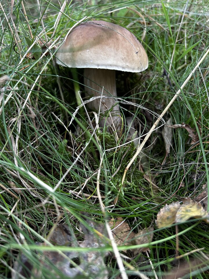 IMG_8224.jpeg - NaturystaXXX