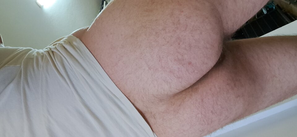 1000030304.jpg - kootas