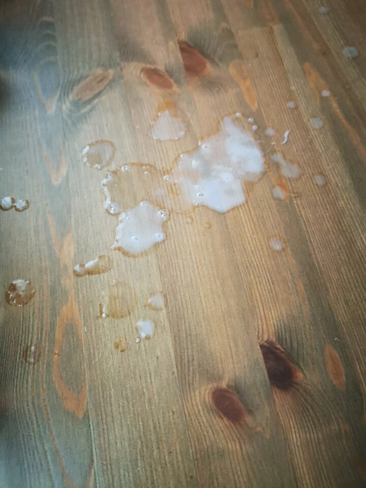 IMG_20250812_133412.jpg - Pan679