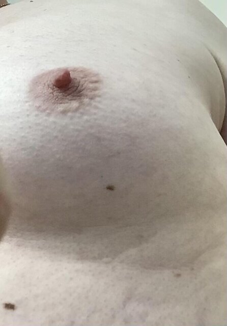 IMG_0368.jpeg - Greypervert