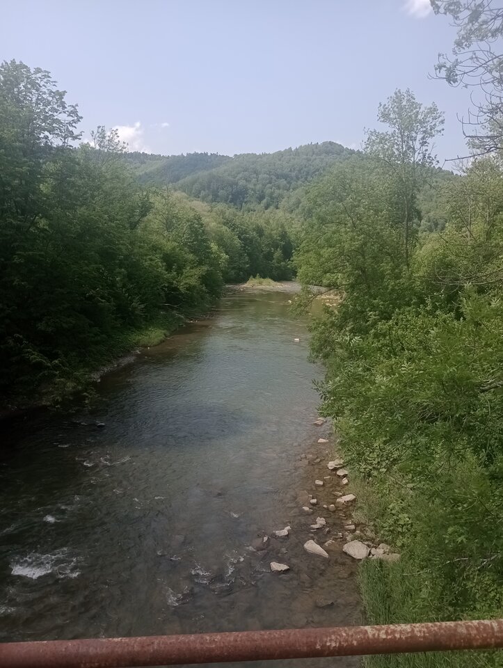 IMG_20250606_134635049_MFNR.jpg - Milyspokojny_